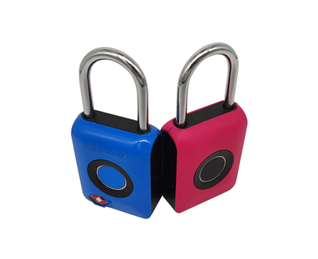 Fingerprint lock